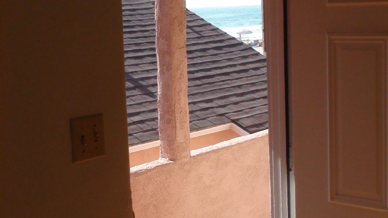 Photo of Others in Central Mission Beach