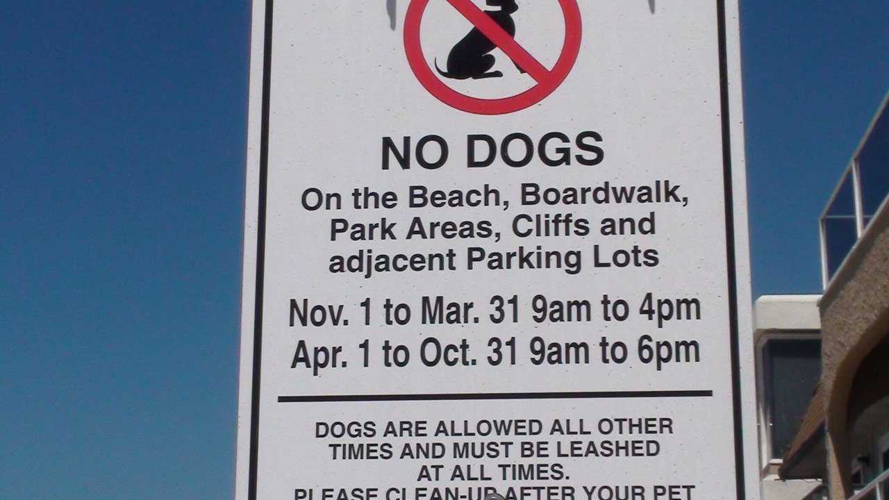 Photo of Outdoor in Central Mission Beach