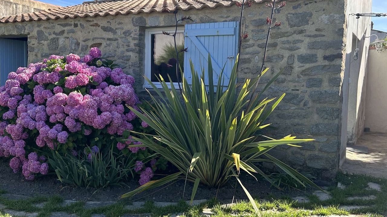 Photo of Outdoor in Noirmoutier-en-l'Ile