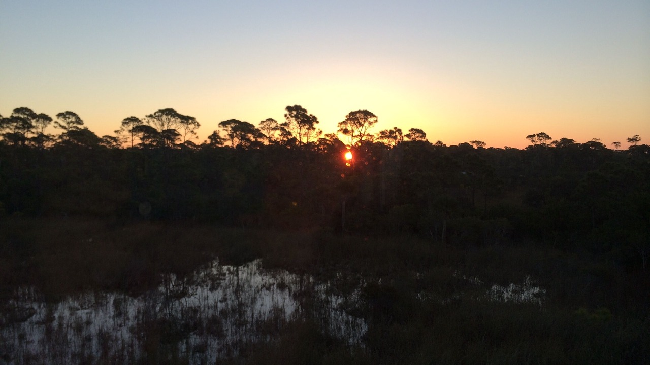 Photo of Outdoor in Port St. Joe