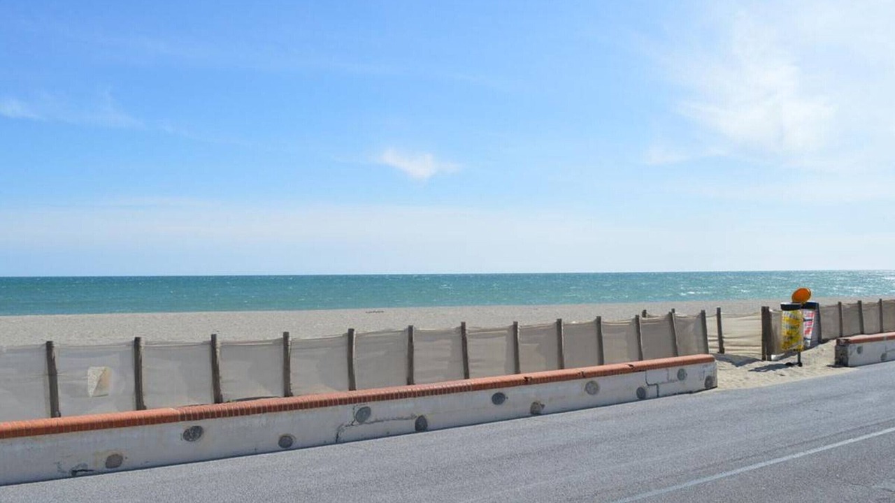 Photo of Others in Saint-Cyprien Plage