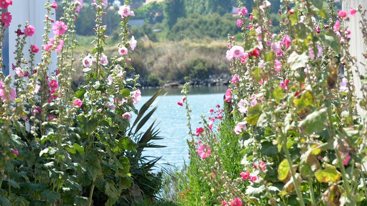 Photo of Outdoor in Les Sables d'Olonne