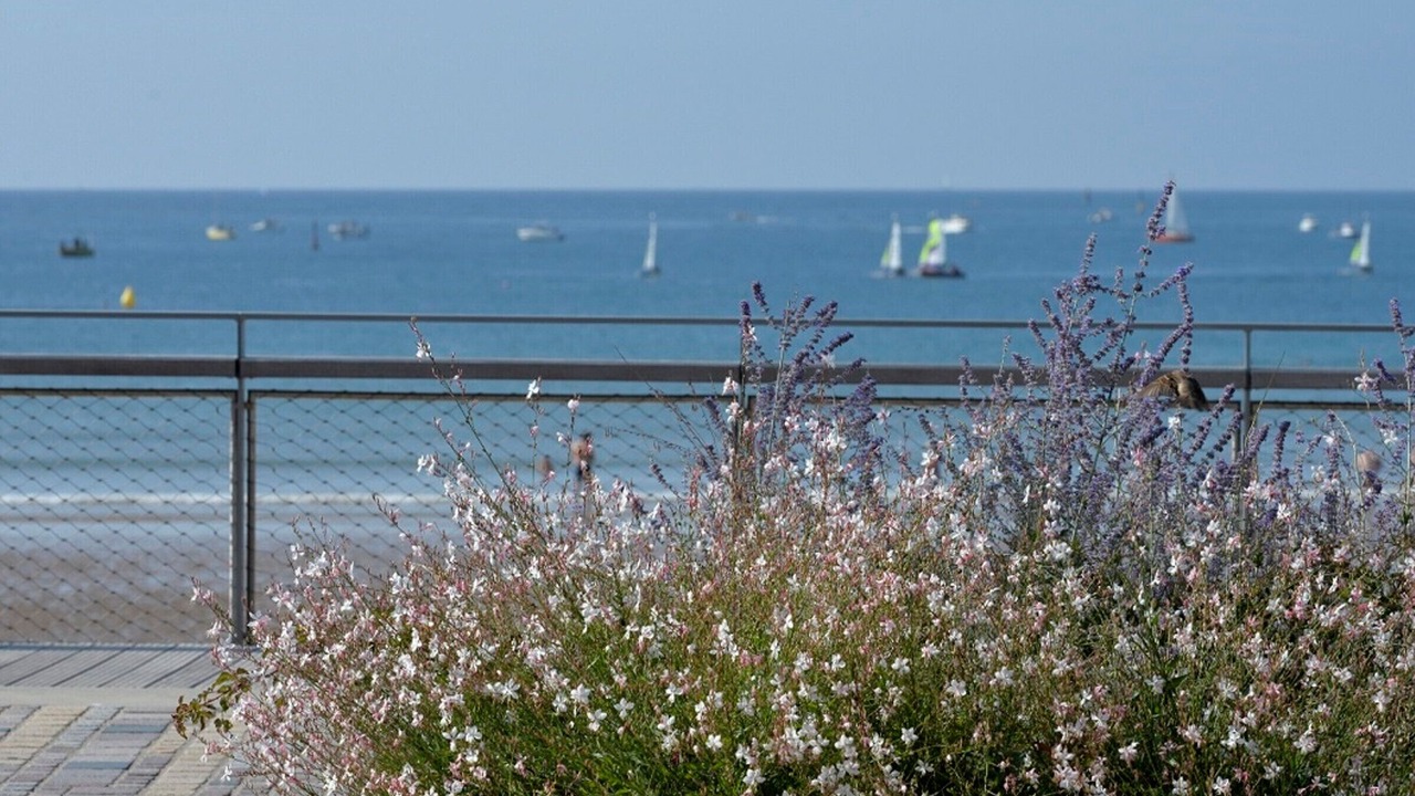 Photo of Others in Les Sables d'Olonne
