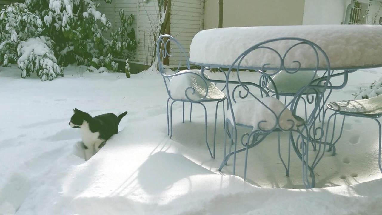 Photo of Outdoor in Aydat