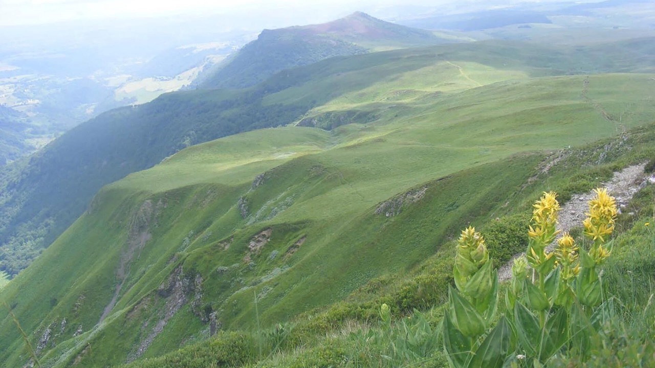 Photo of Others in Aydat