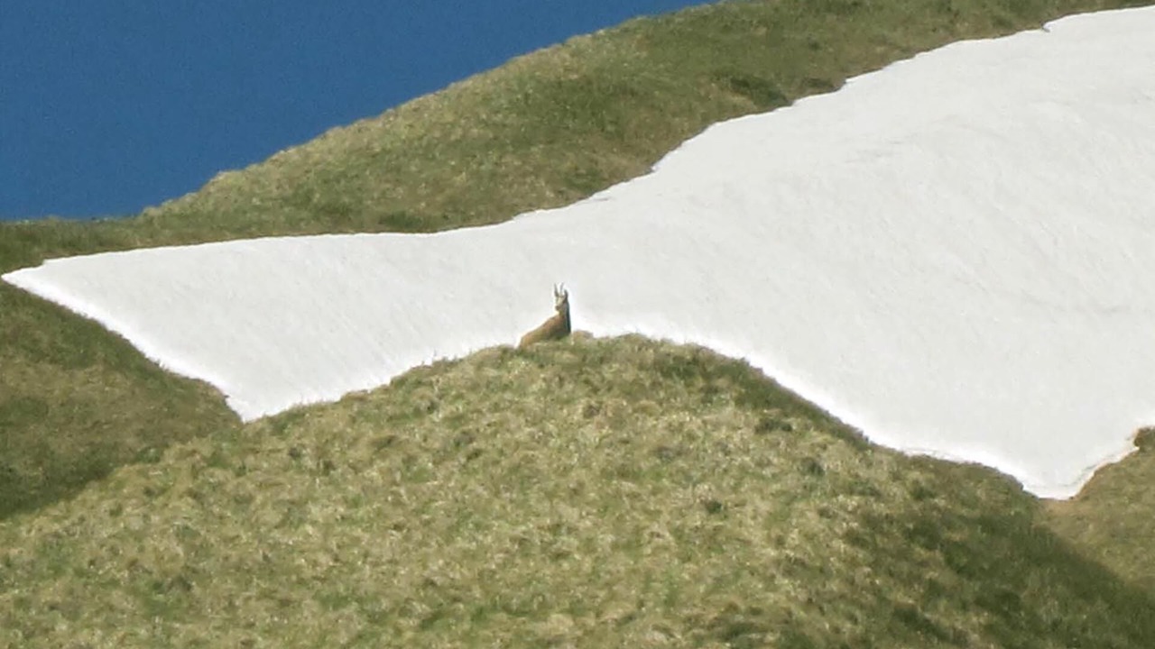 Photo of Others in Aydat