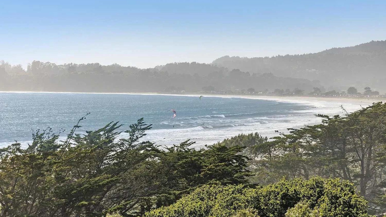 Photo of Others in Mill Valley