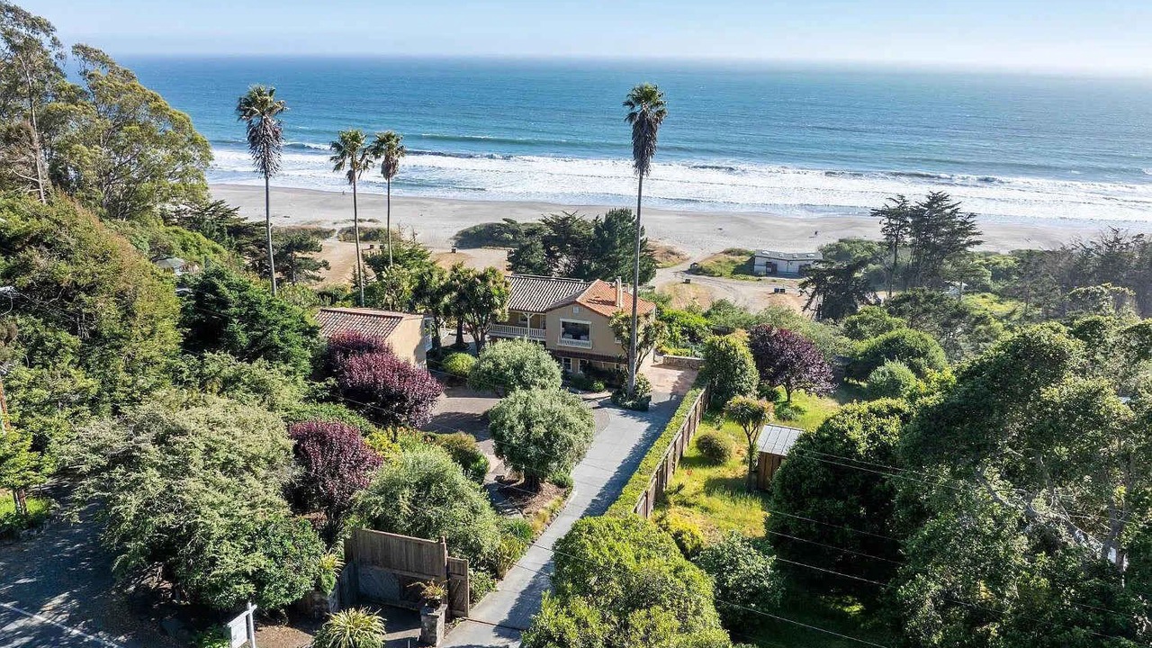 Photo of Others in Mill Valley