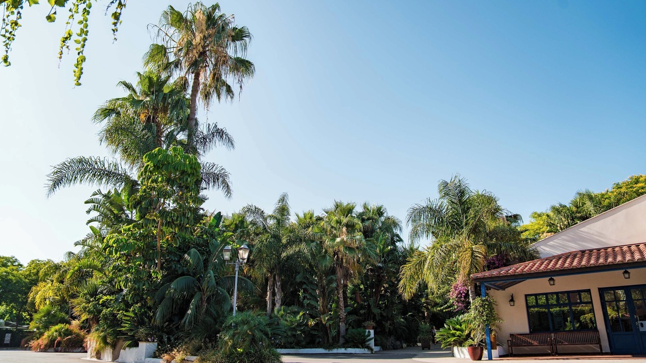 Photo of Outdoor in Salou City Centre