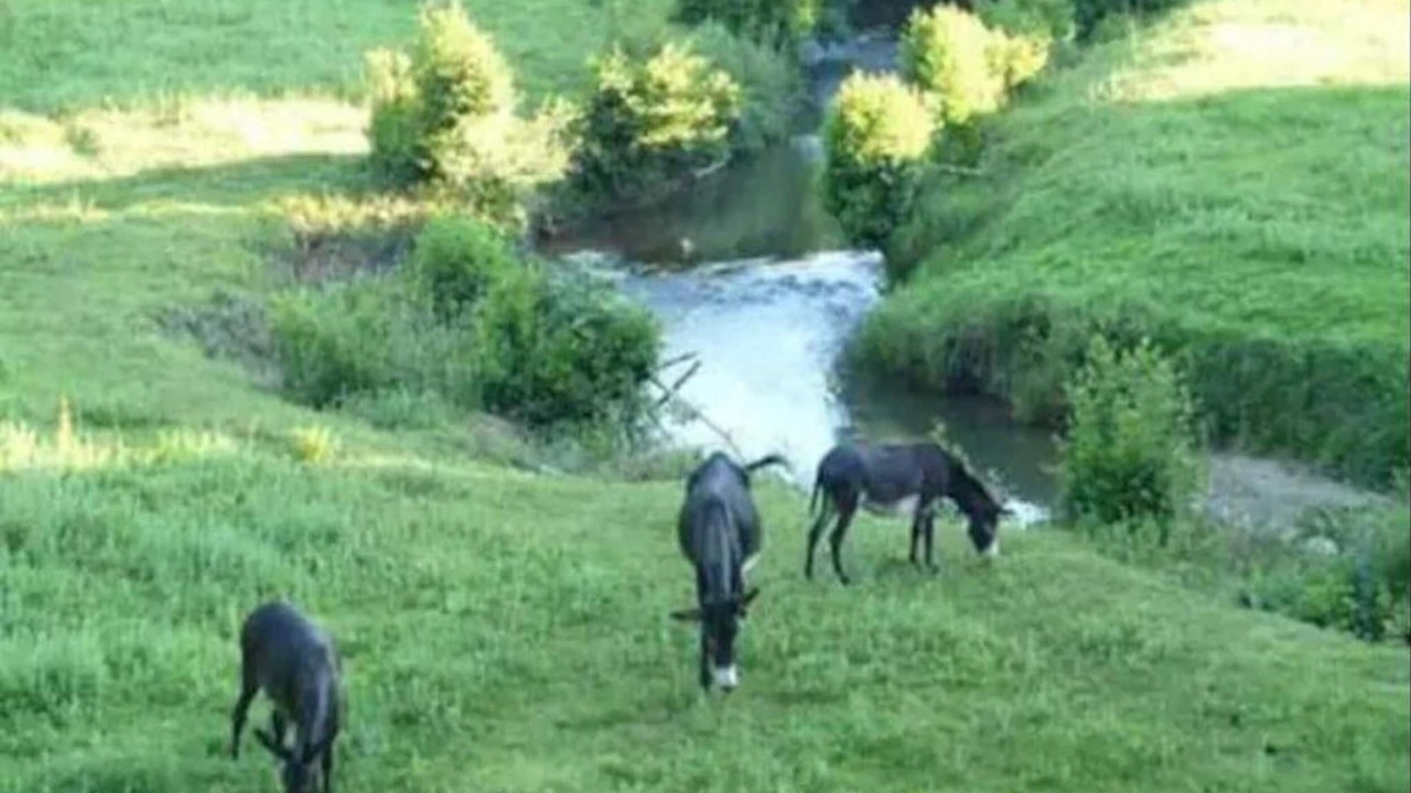 Photo of Others in La Bastide-Clairence