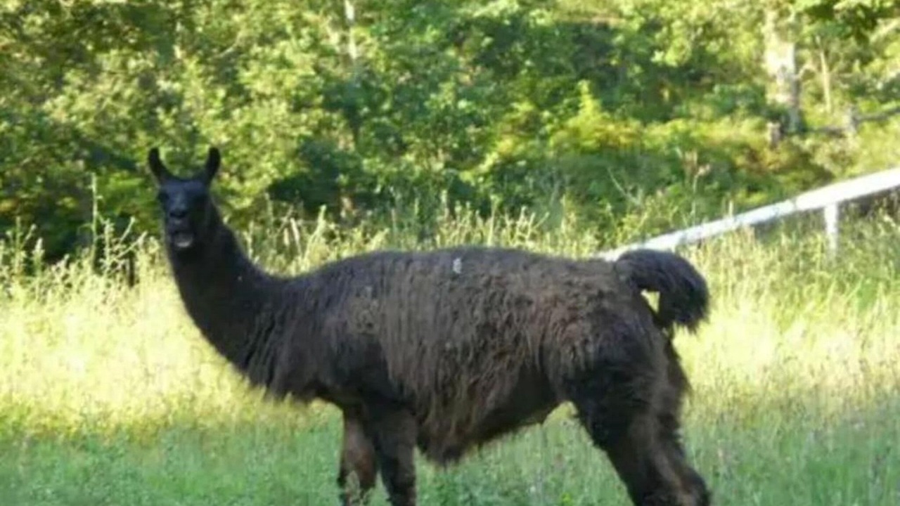 Photo of Others in La Bastide-Clairence