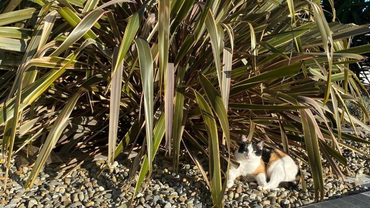 Photo of Others in La Bastide-Clairence