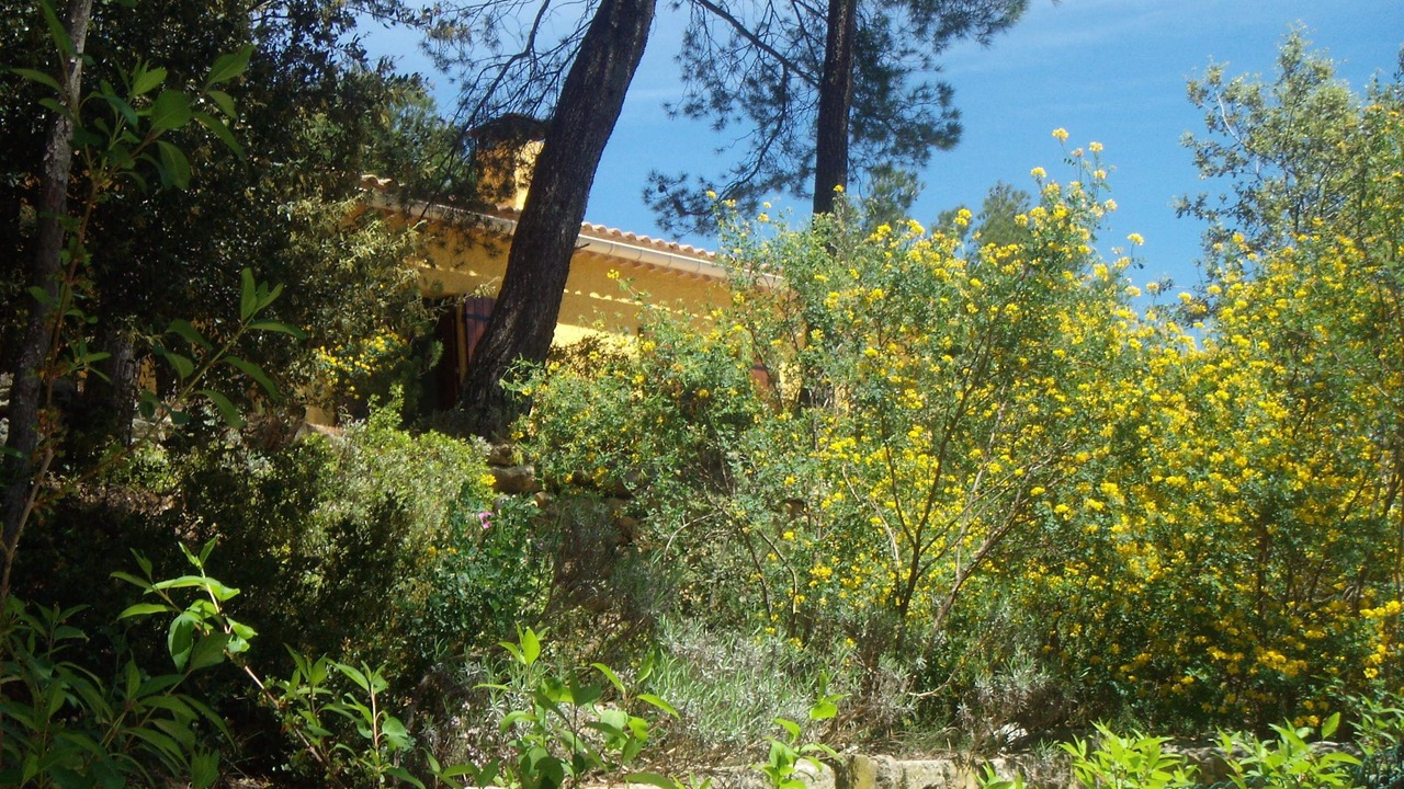 Photo of Outdoor in Bedoin