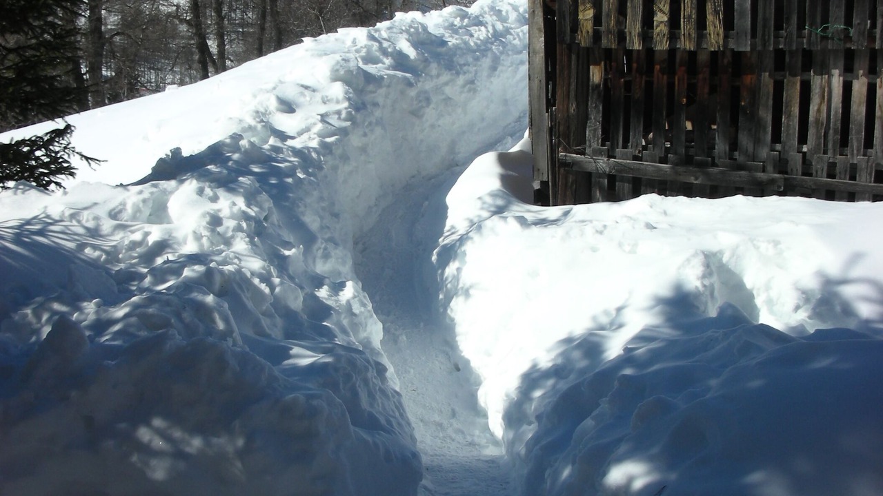 Photo of Others in Chantemerle