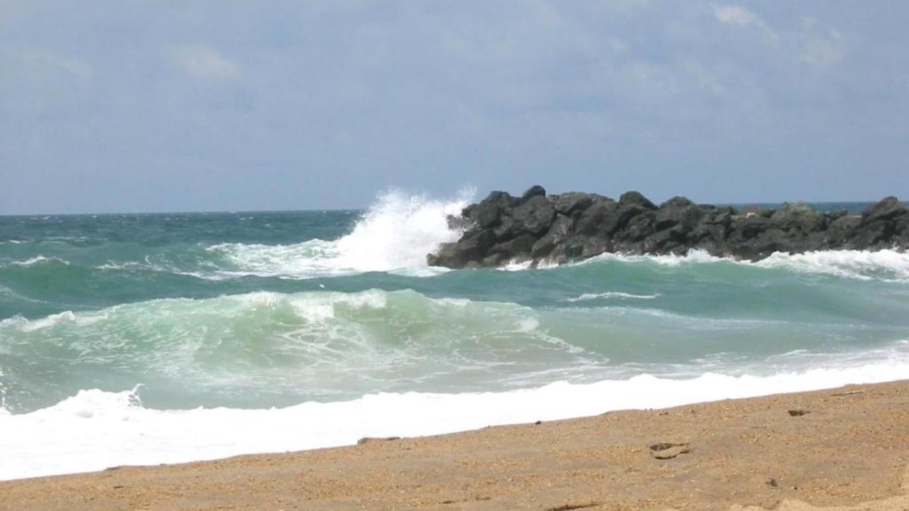 Photo of Others in La Bastide-Clairence