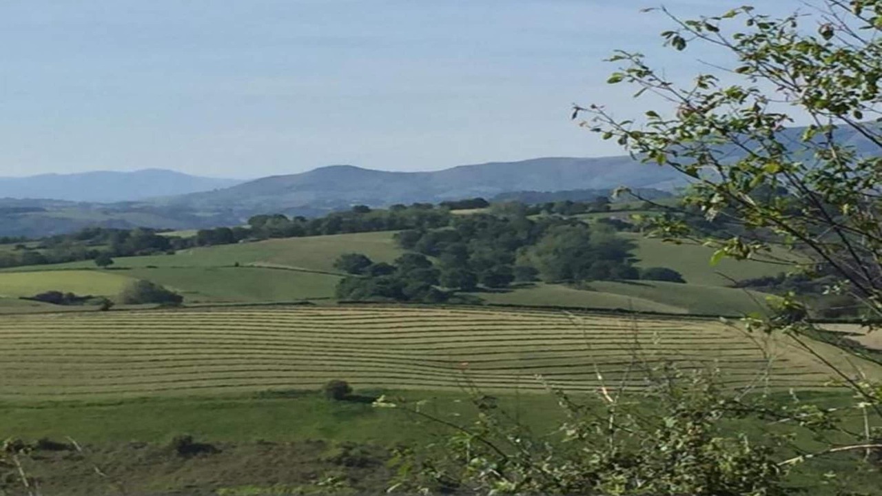 Photo of Others in La Bastide-Clairence