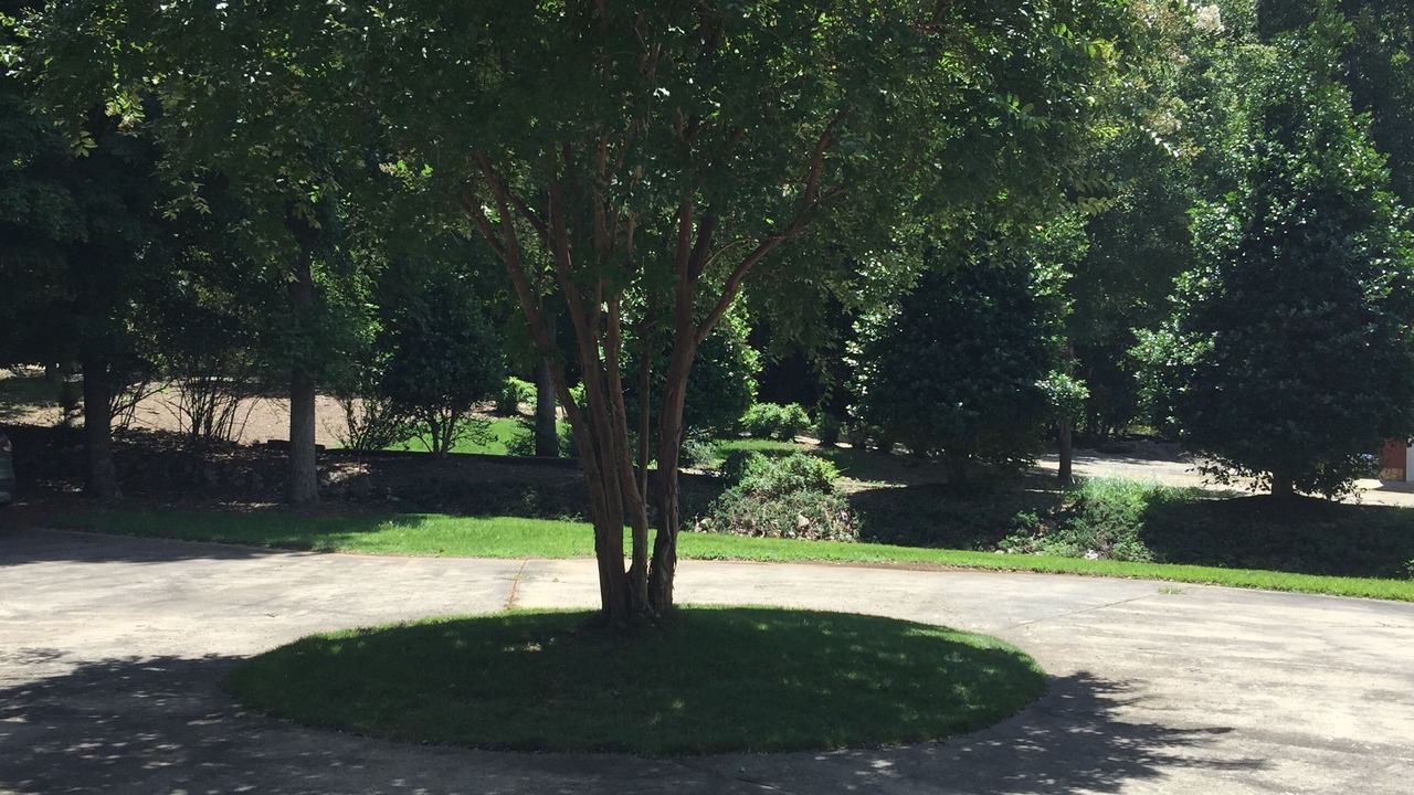 Photo of Others in Macon