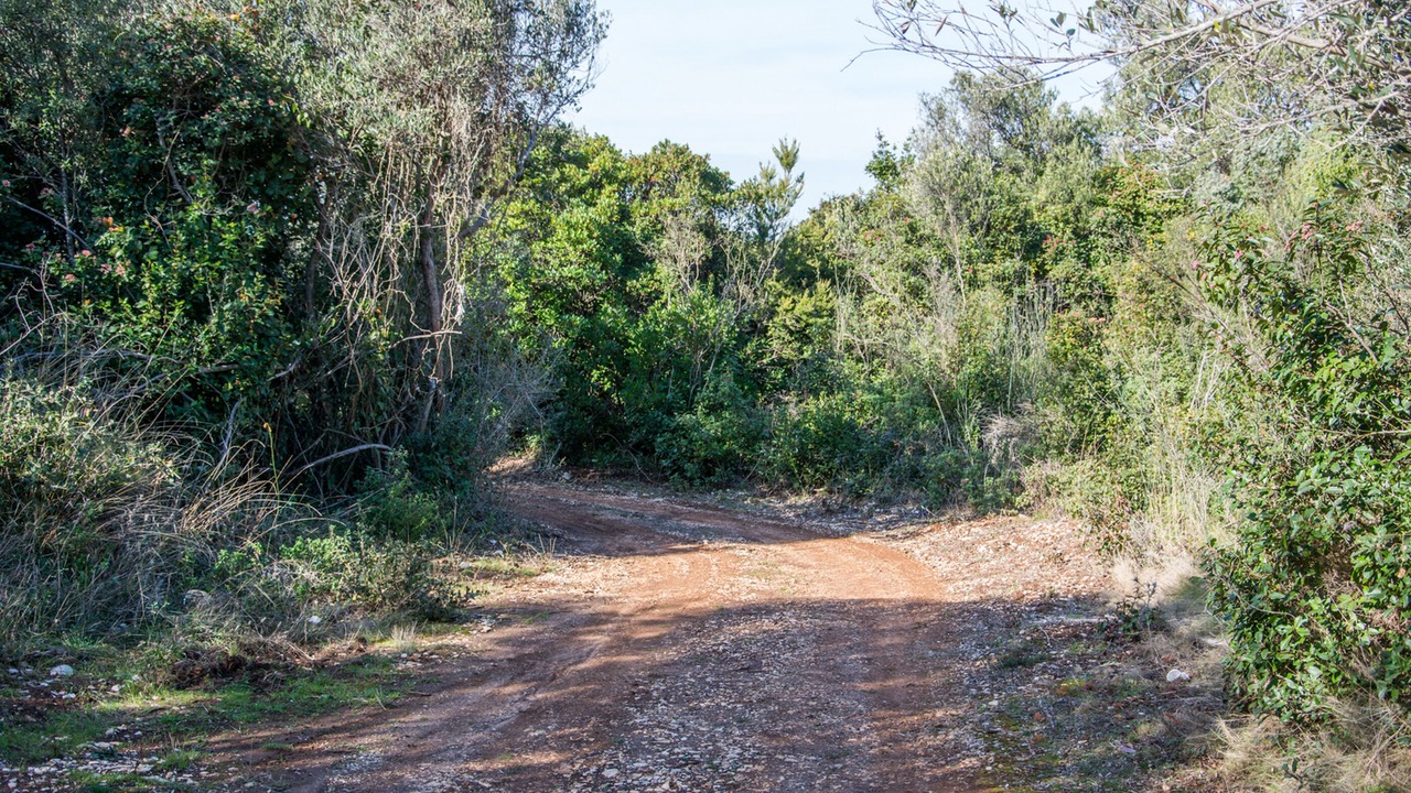 Photo of Outdoor in Dobropoljana