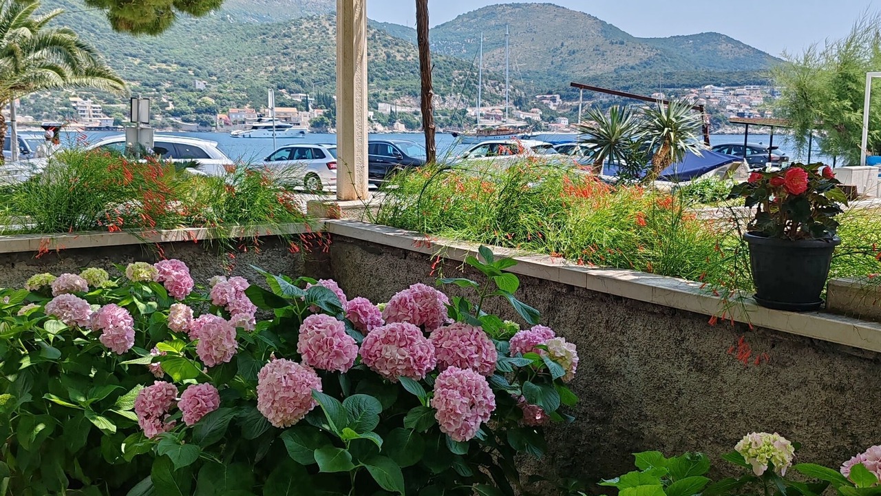 Photo of Outdoor in Zaton