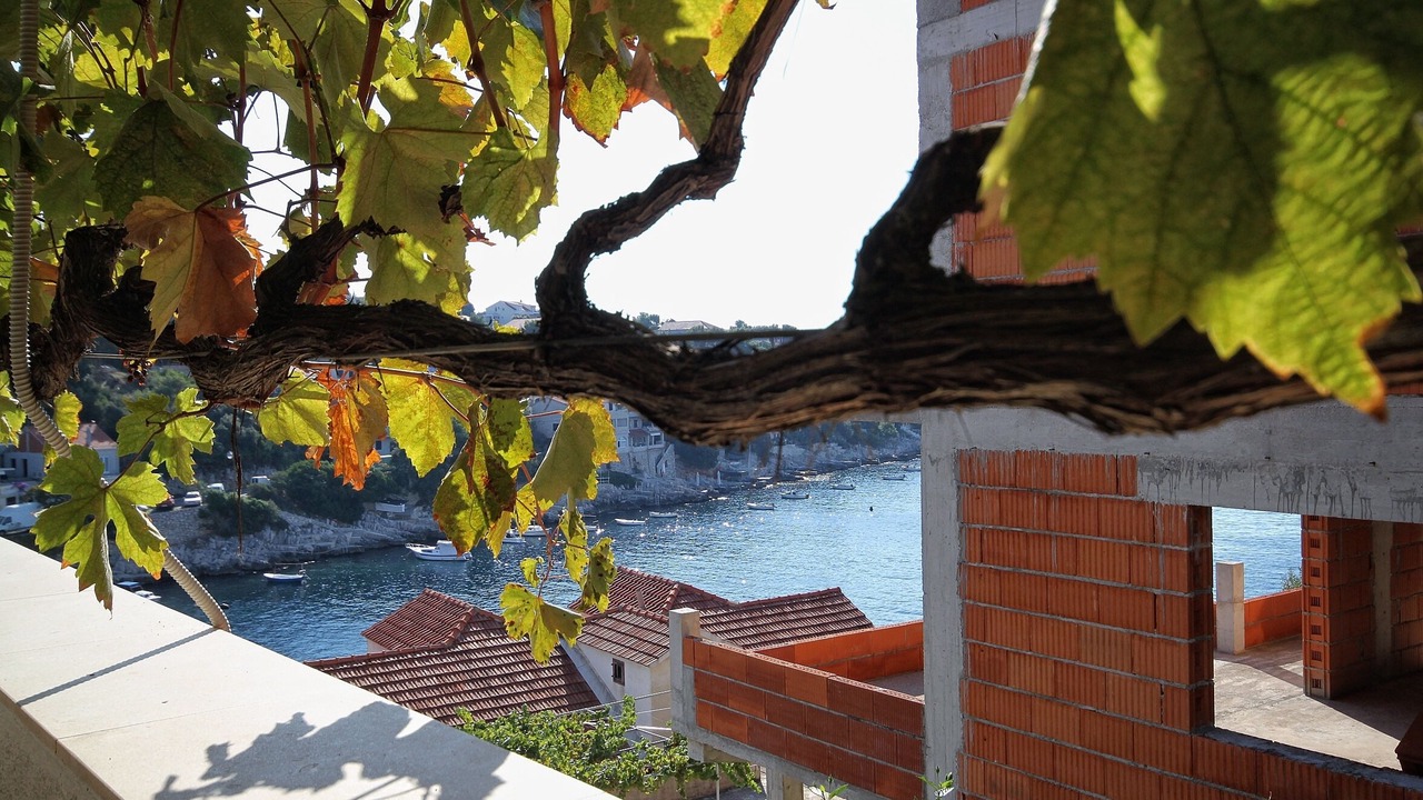 Photo of Patio Balcony in Zavalatica