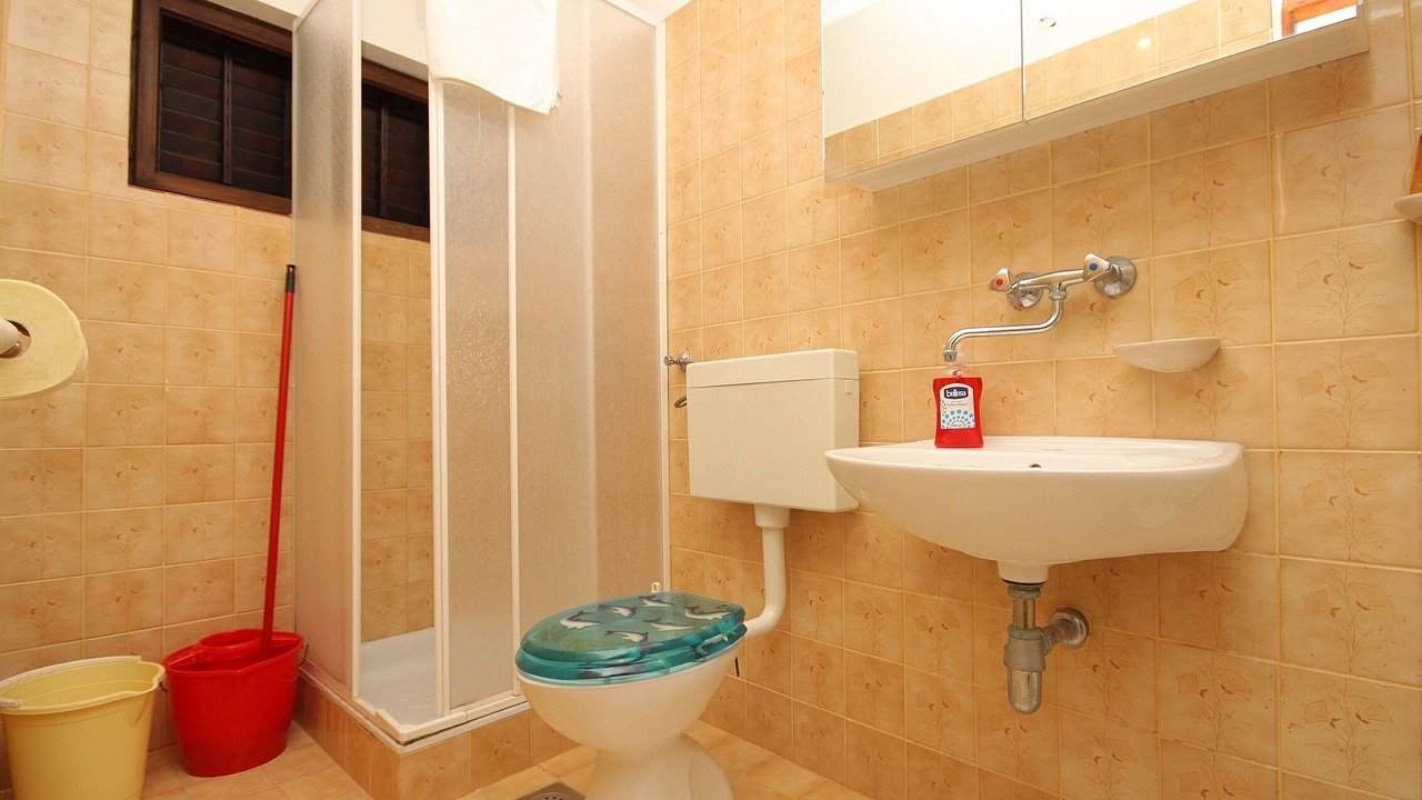 Photo of Bathroom in Zavalatica