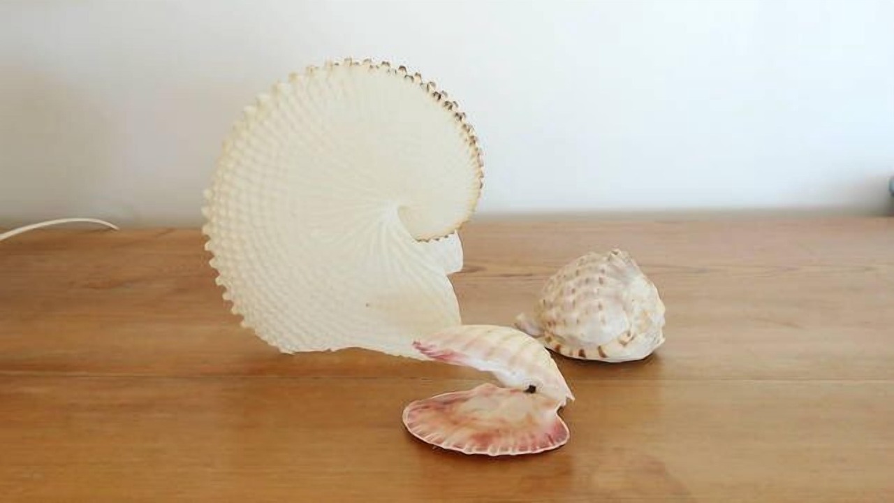 Photo of Others in Penneshaw