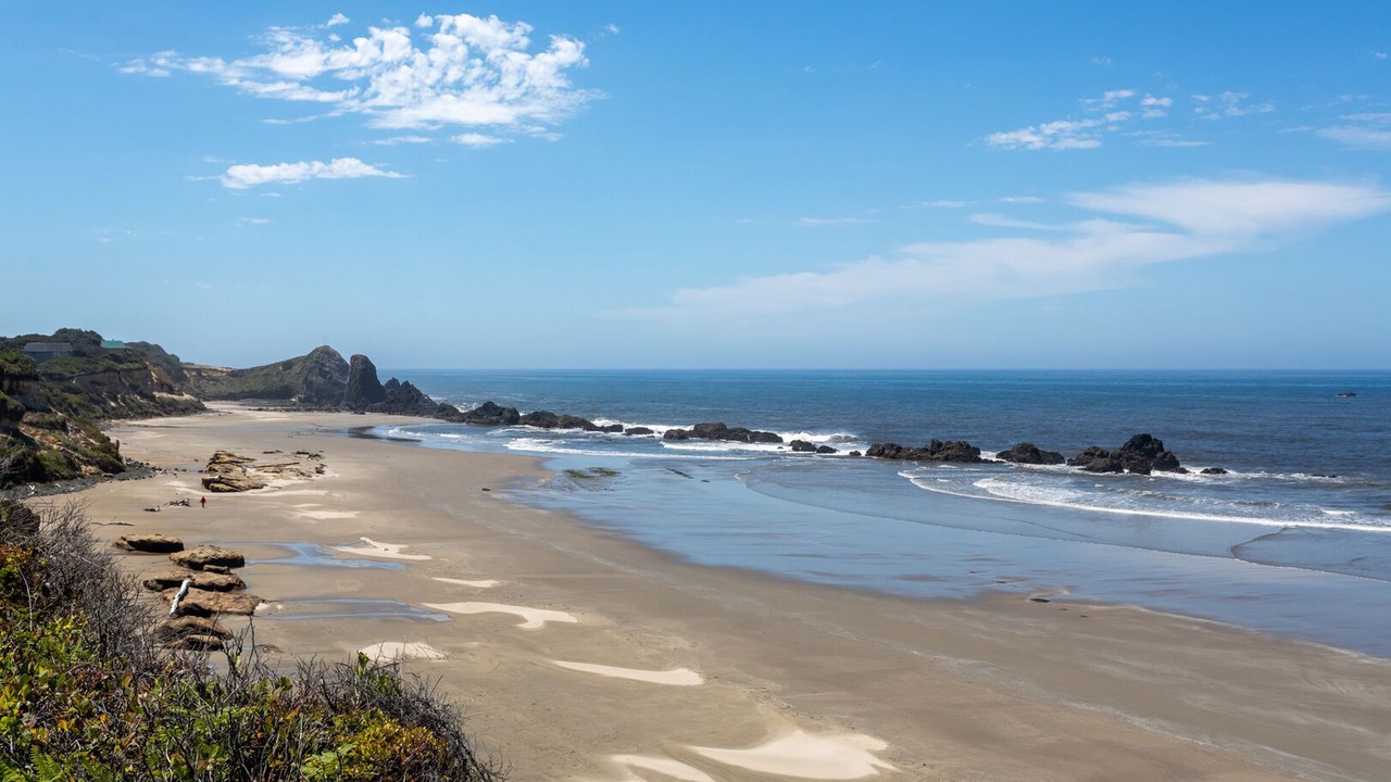 Photo of Others in Seal Rock