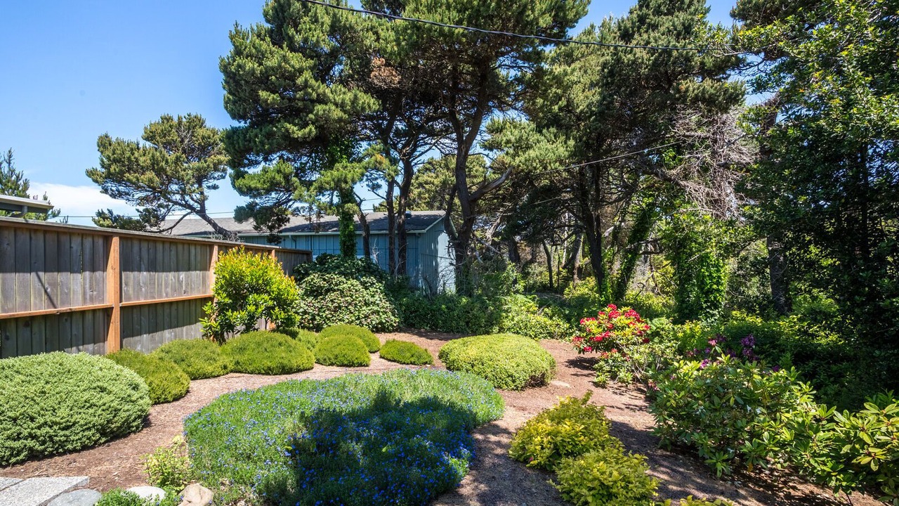 Photo of Others in Seal Rock