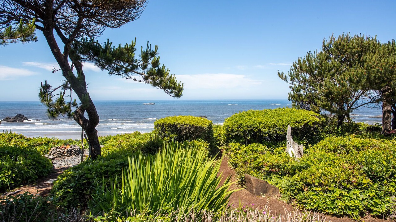Photo of Others in Seal Rock