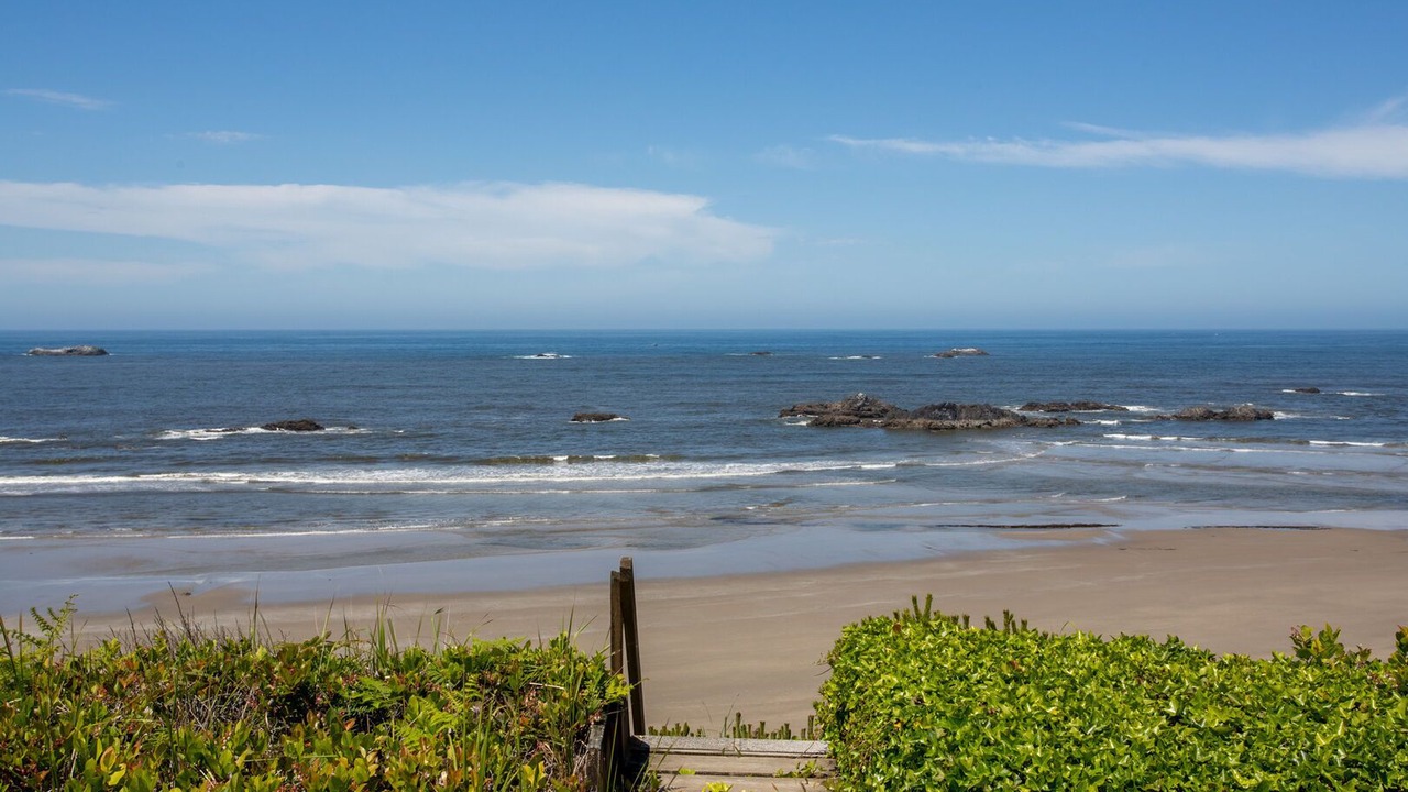 Photo of Others in Seal Rock