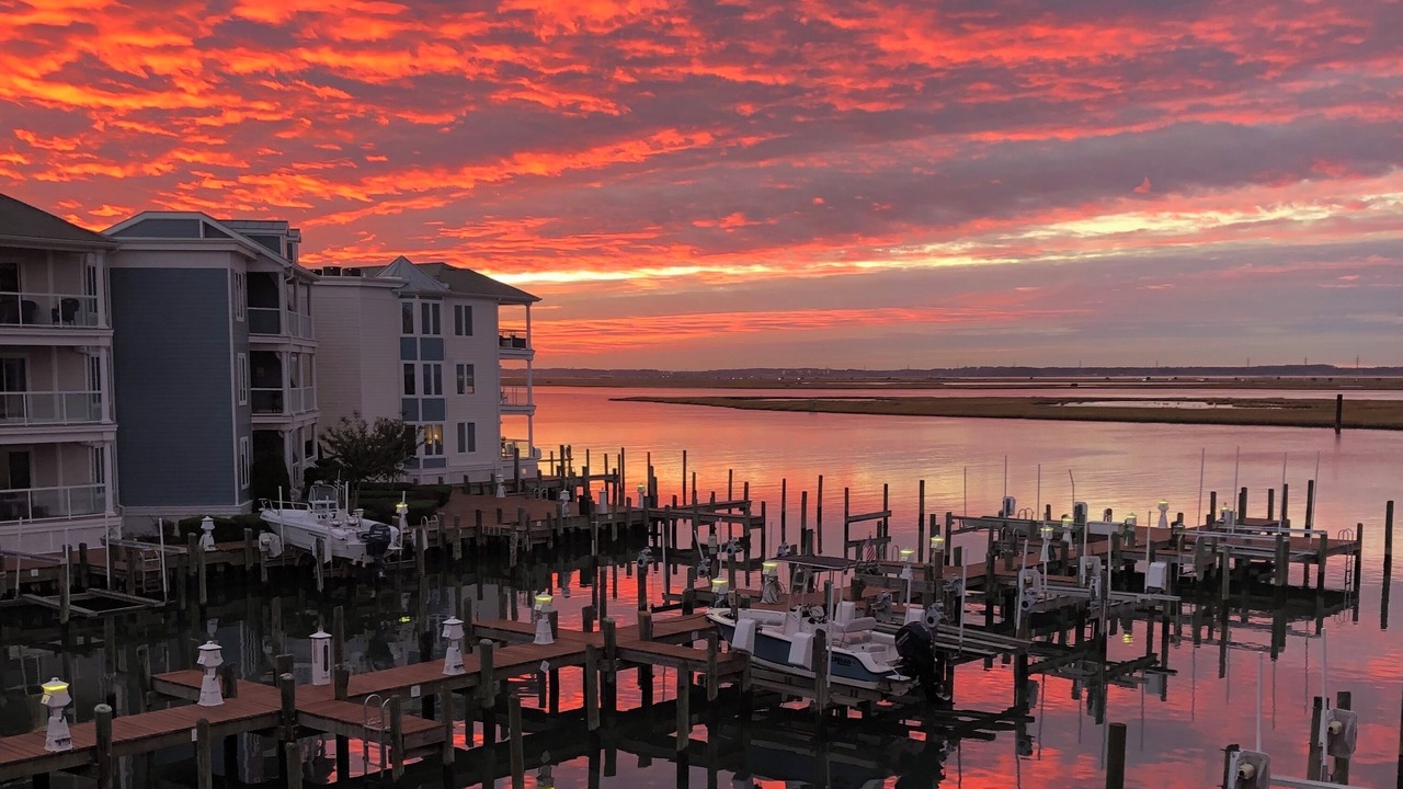 Photo of Others in Chincoteague
