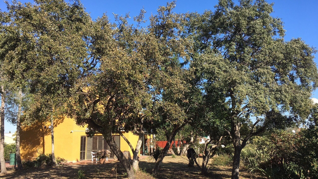 Photo of Outdoor in El Catllar
