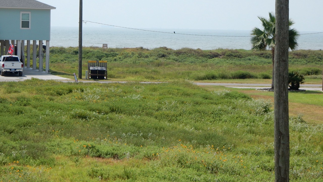 Photo of Others in Crystal Beach