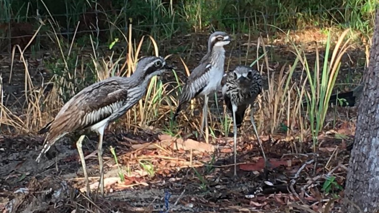Photo of Outdoor in Happy Valley