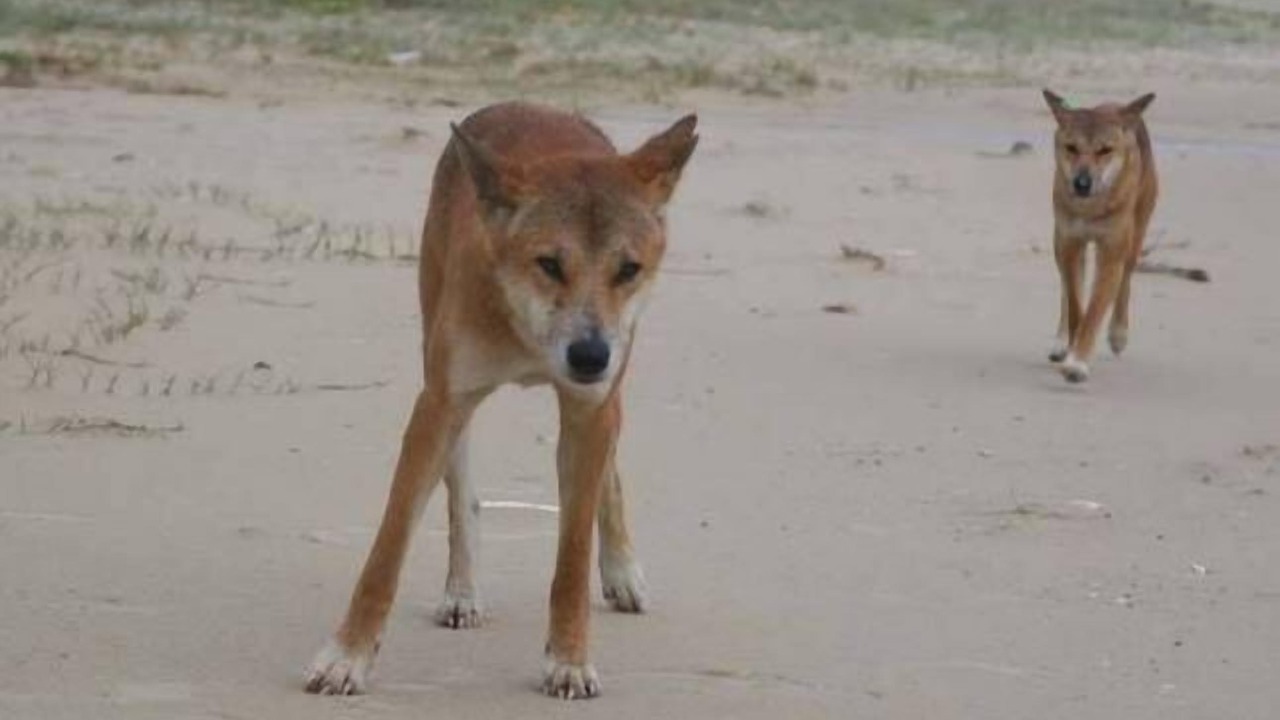 Photo of Others in Happy Valley