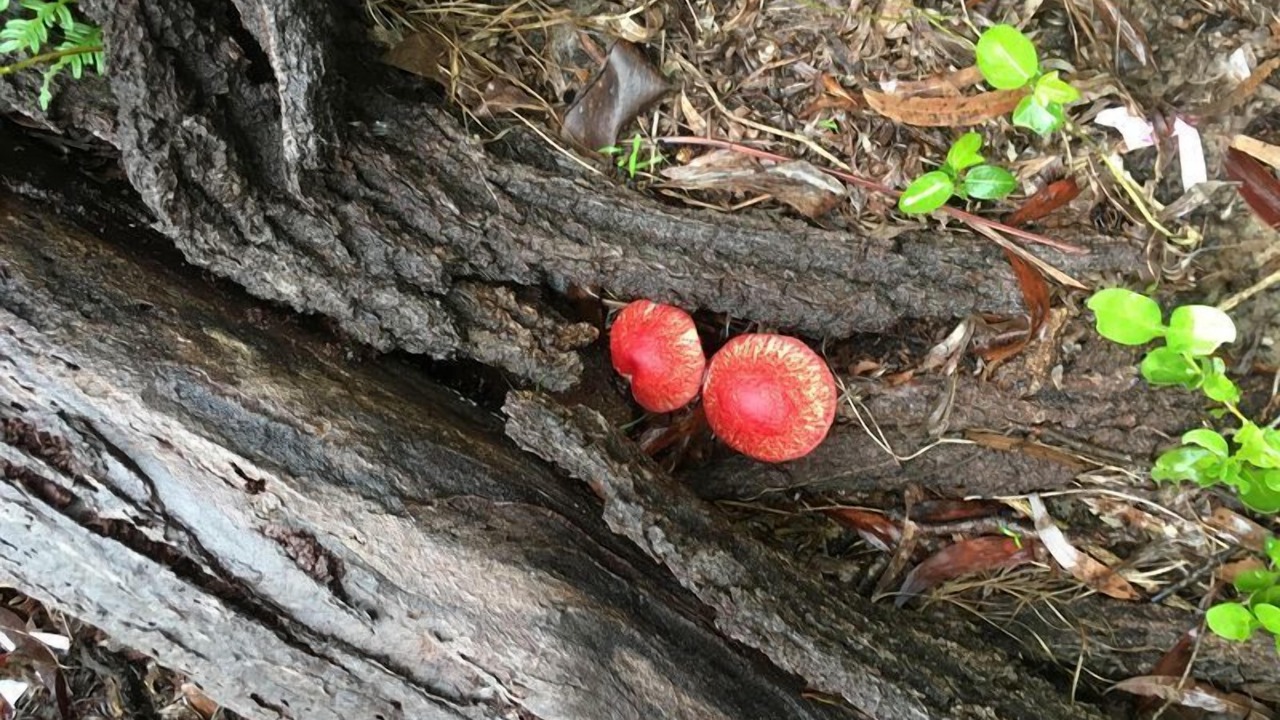 Photo of Outdoor in Happy Valley
