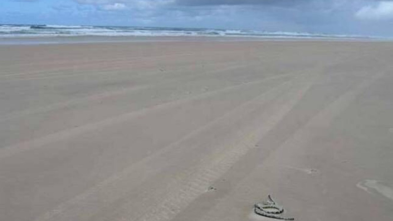 Photo of Others in Happy Valley