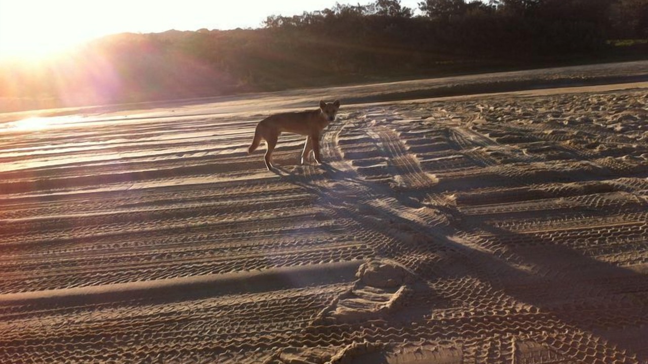 Photo of Others in Happy Valley