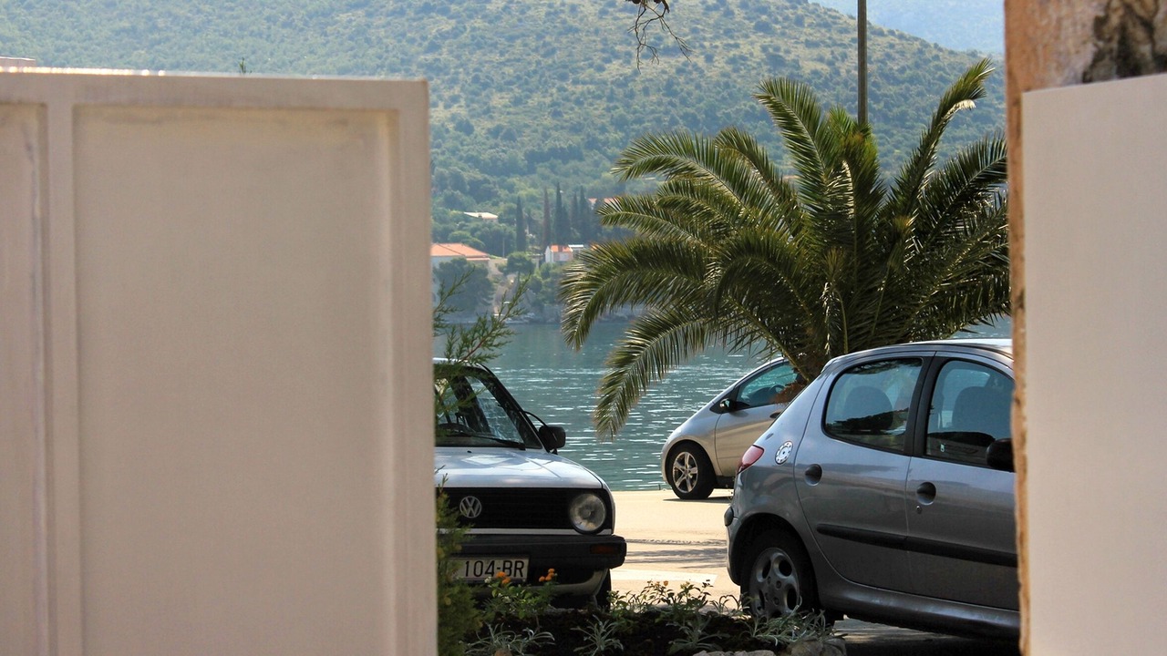 Photo of Others in Zaton