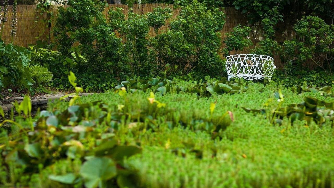 Photo of Outdoor in Stinson Beach