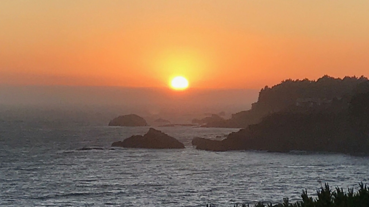 Photo of Others in Timber Cove