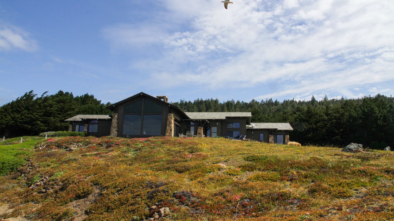 Photo of Others in Timber Cove