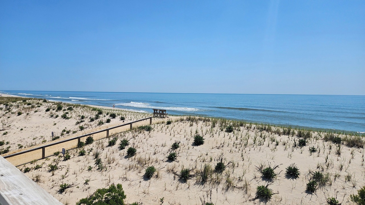 Photo of Others in South Beach Haven