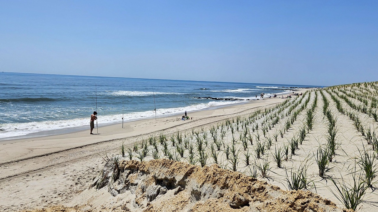 Photo of Others in South Beach Haven