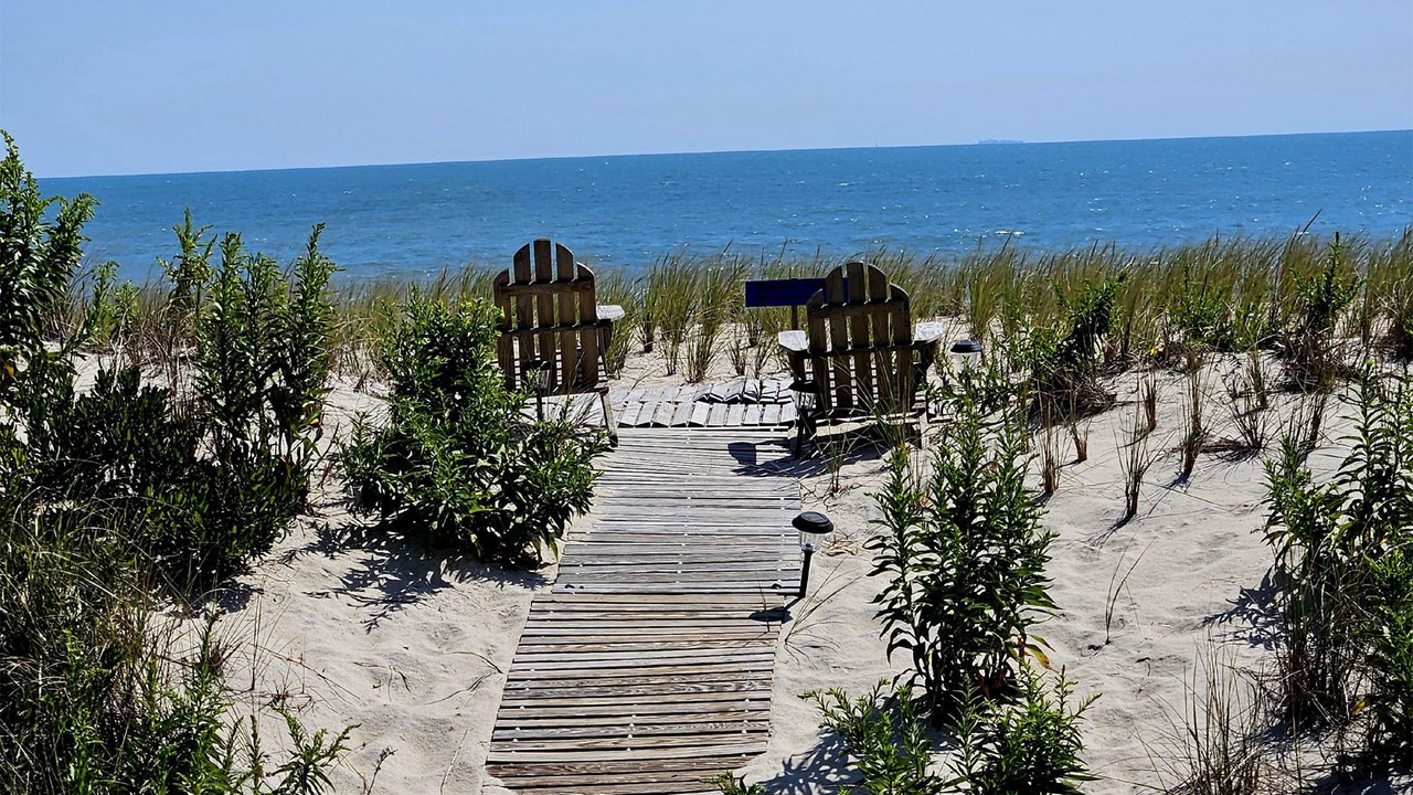 Photo of Others in South Beach Haven