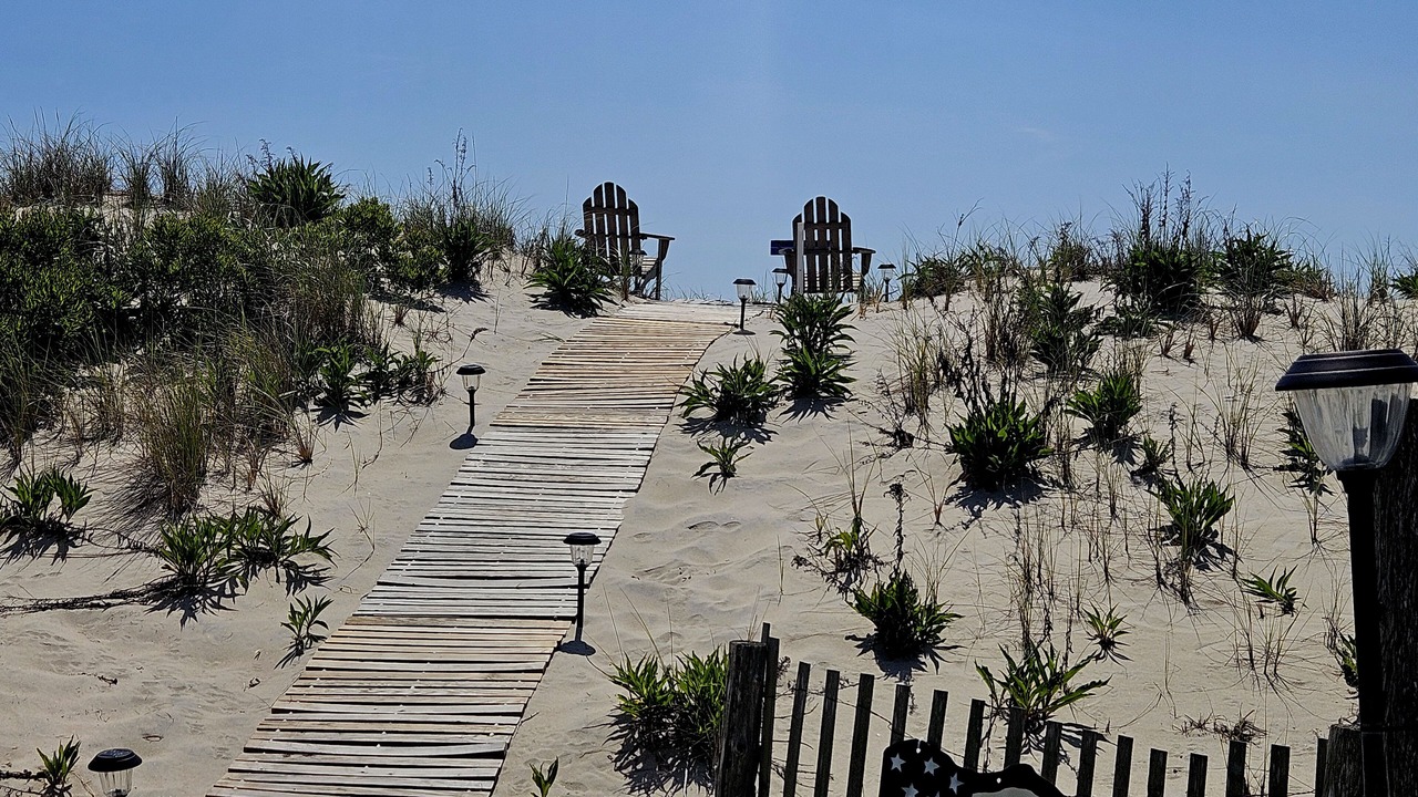 Photo of Outdoor in South Beach Haven