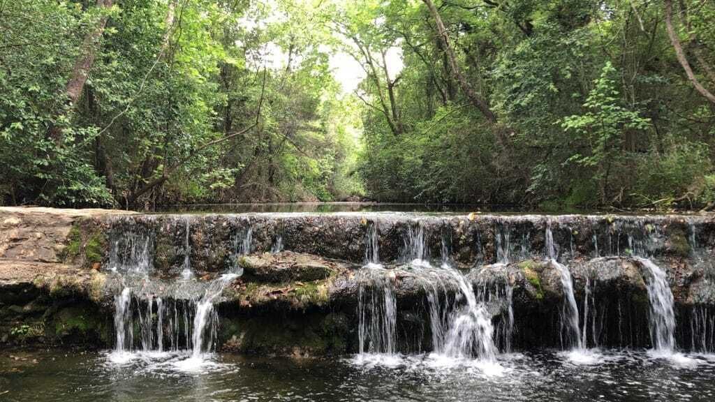 Photo of Others in Spicewood