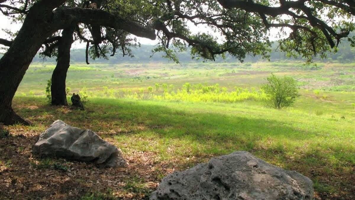 Photo of Outdoor in Spicewood