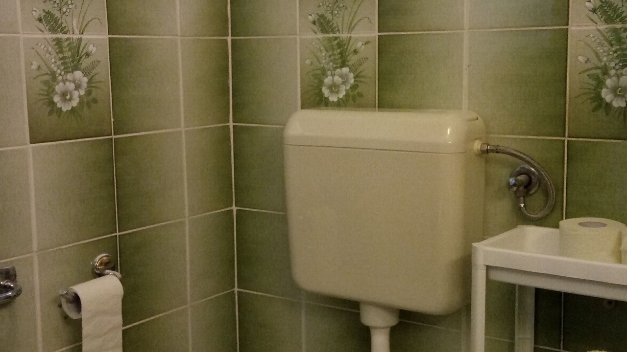 Photo of Bathroom in Pirovac