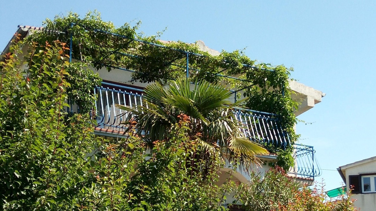 Photo of Outdoor in Pirovac
